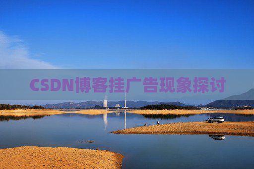 CSDN博客挂广告现象探讨